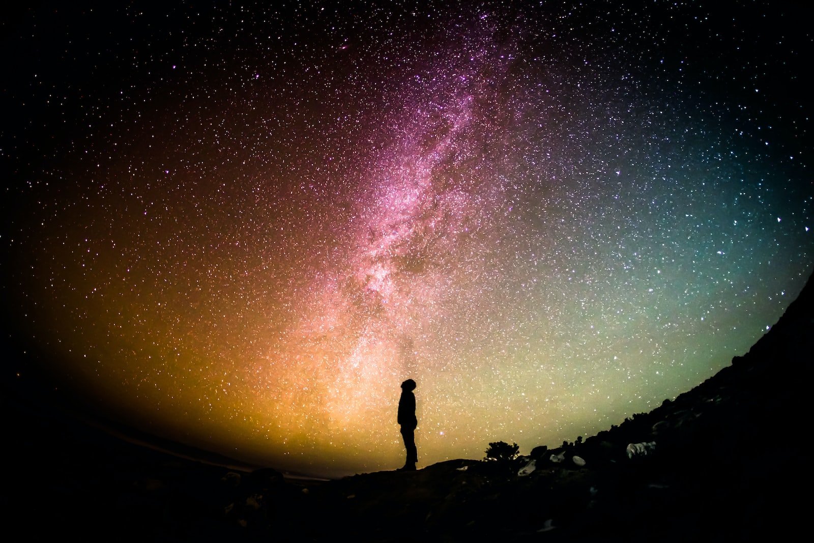 wonder